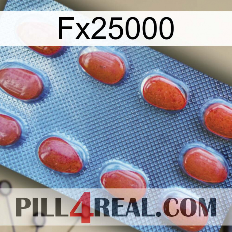 Fx25000 06